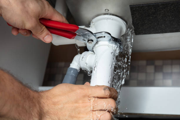 Best Flood restoration services  in Hawkinsville, GA
