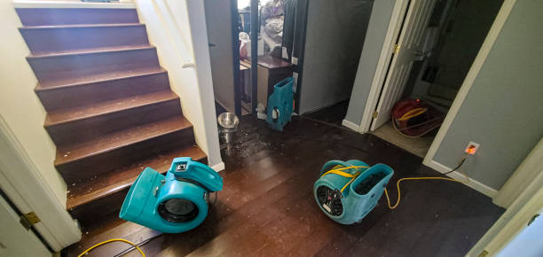 Best Ceiling water damage repair  in Hawkinsville, GA