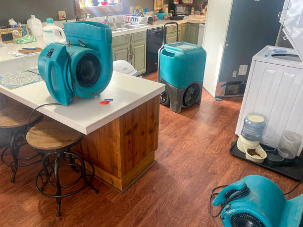 Best Local water damage restoration  in Hawkinsville, GA