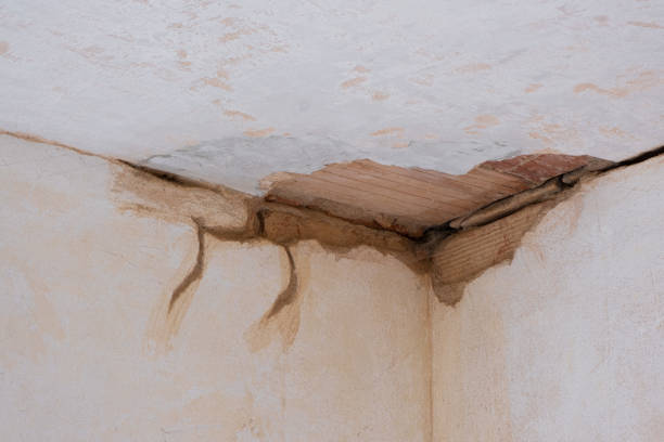 Best Water damage restoration near me  in Hawkinsville, GA