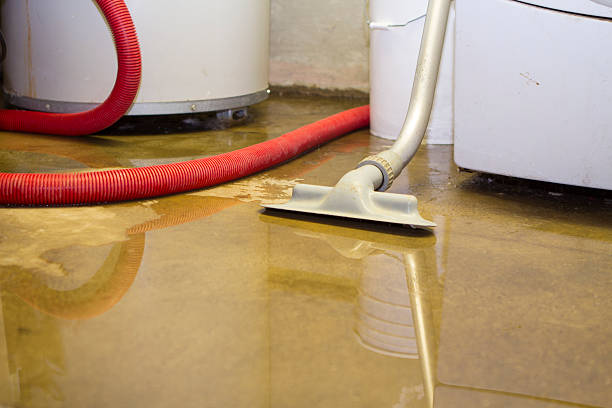 Best Fire Damage Restoration  in Hawkinsville, GA