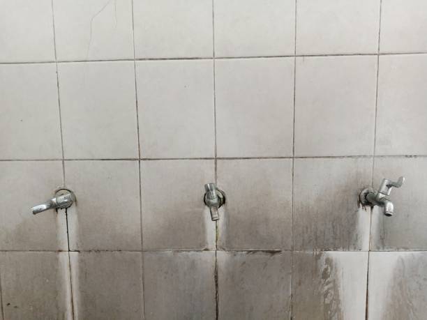 Best Basement water damage restoration  in Hawkinsville, GA