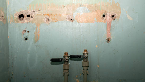 Best Water damage restoration services  in Hawkinsville, GA