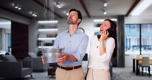 Best Carpet water damage restoration  in Hawkinsville, GA