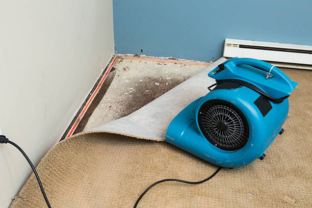 Best Water damage repair service  in Hawkinsville, GA